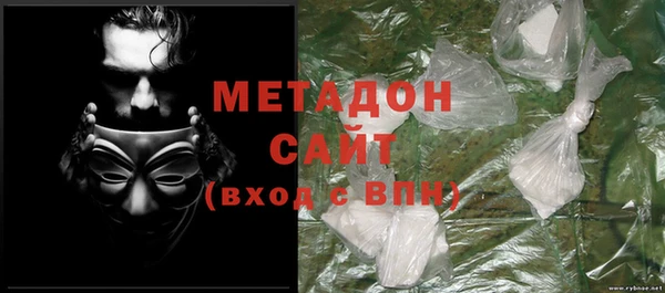 прущие грибы Балахна