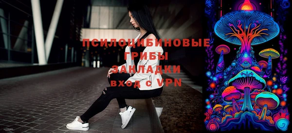 ГАЛЛЮЦИНОГЕННЫЕ ГРИБЫ Арсеньев