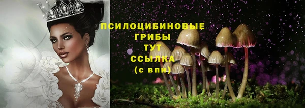 прущие грибы Балахна