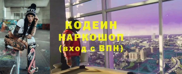 ГАЛЛЮЦИНОГЕННЫЕ ГРИБЫ Арсеньев